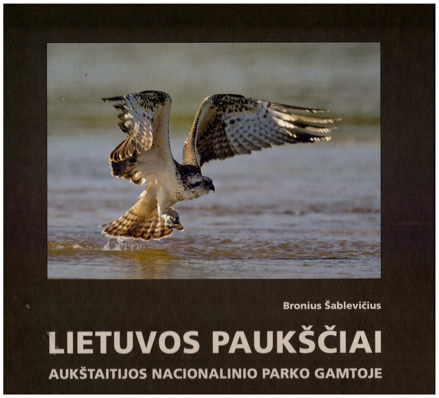 Vienas iš naujausių B. Šablevičiaus leidinių.